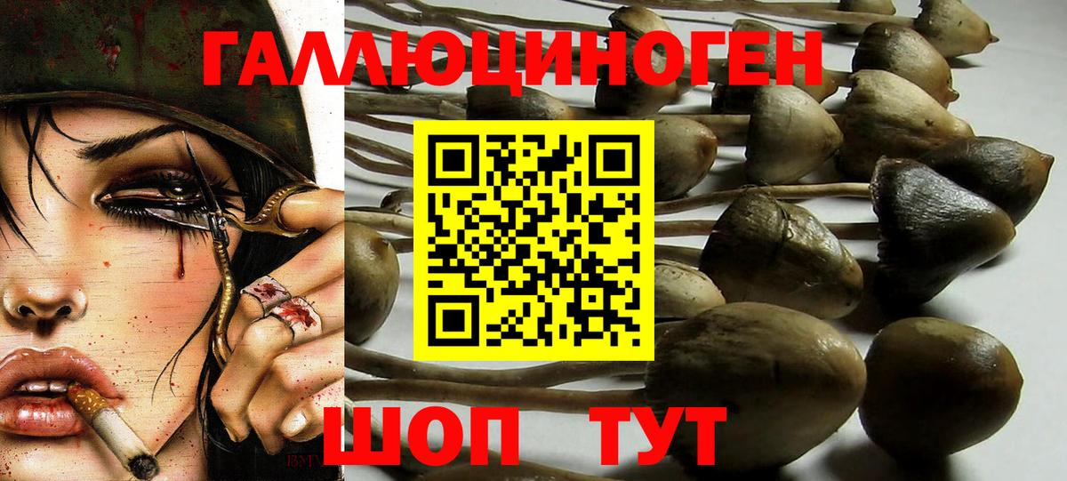 Галлюциногенные грибы MAGIC MUSHROOMS  Вход с VPN  Кемерово 